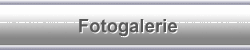 Fotogalerie